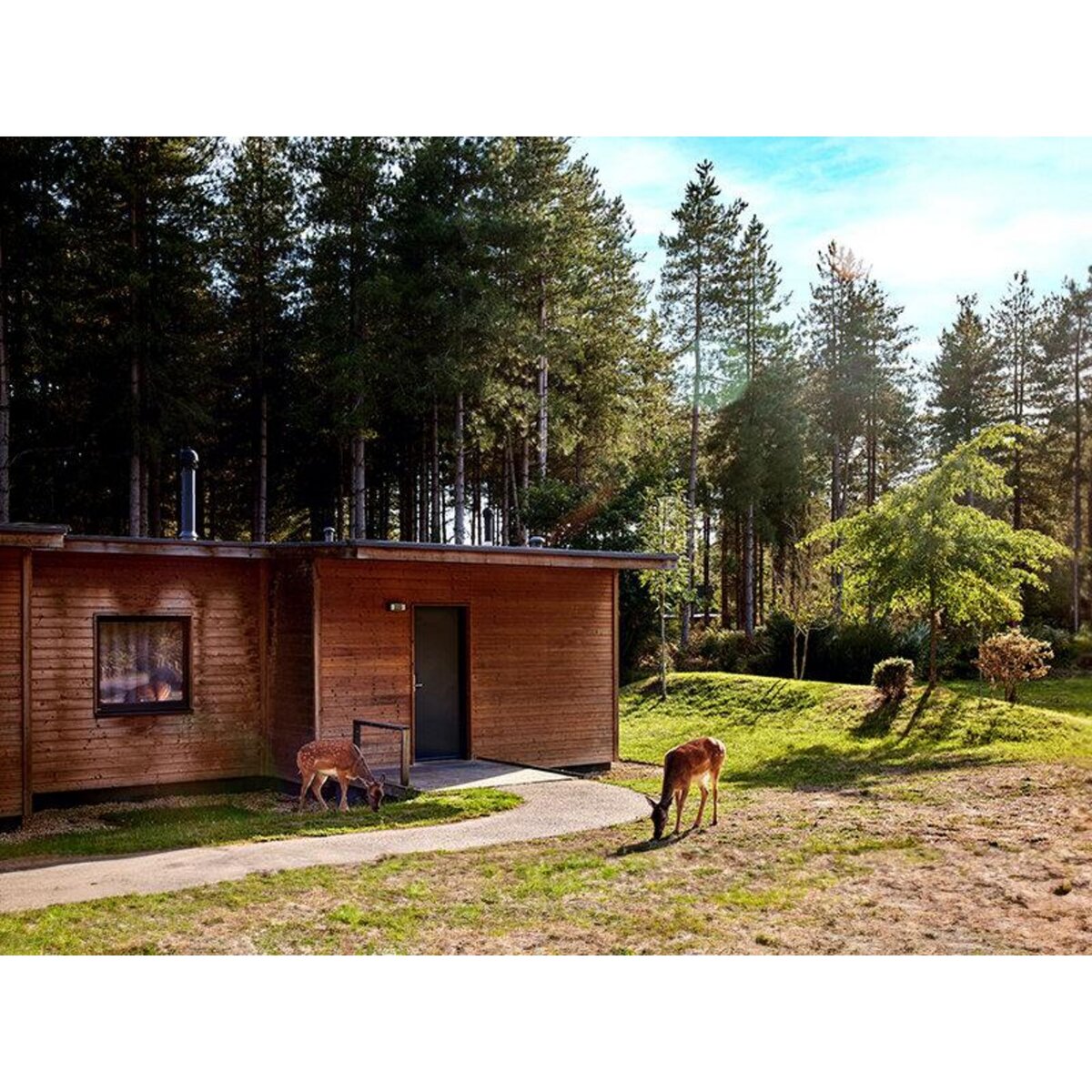 Smartbox Séjour en famille à Center Parcs - Coffret Cadeau Séjour