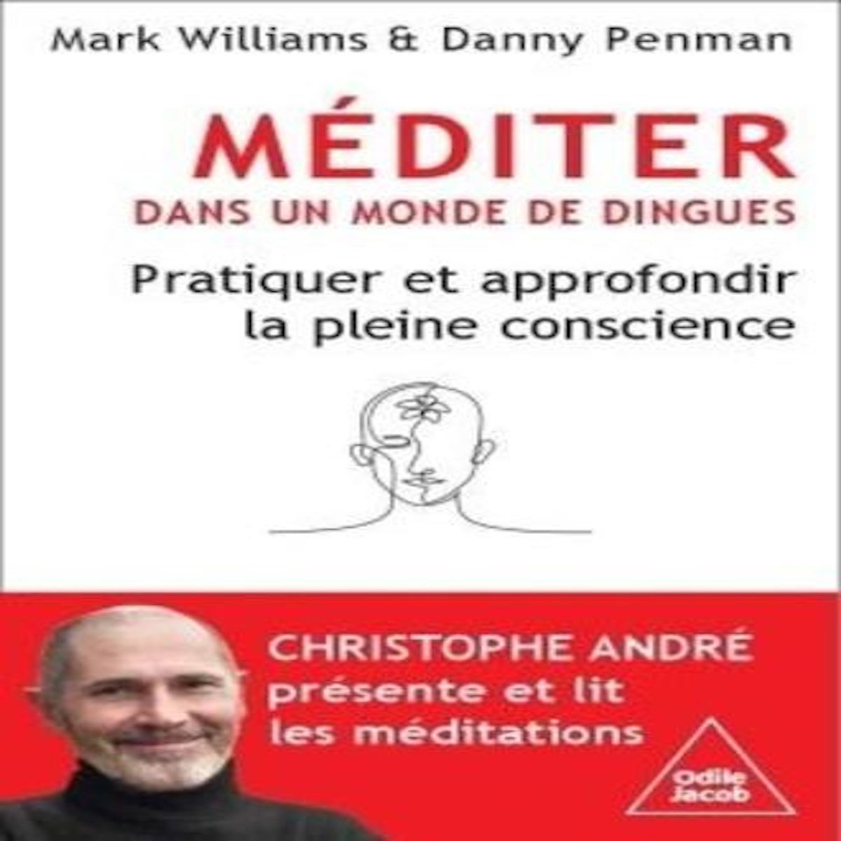 MEDITER DANS UN MONDE DE DINGUES. PRATIQUER ET APPROFONDIR LA PLEINE CONSCIENCE, Williams Mark