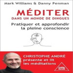 MEDITER DANS UN MONDE DE DINGUES. PRATIQUER ET APPROFONDIR LA PLEINE CONSCIENCE, Williams Mark