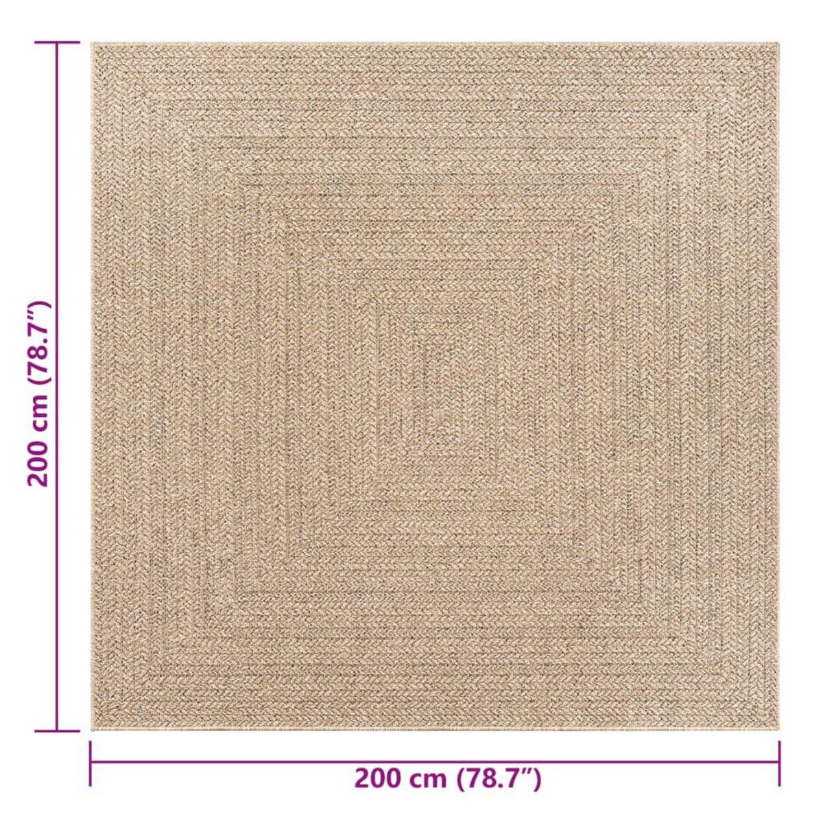 VIDAXL Tapis ZIZUR 200x200 cm aspect de jute interieur et exterieur