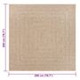 Voir la diapositive 6 : VIDAXL Tapis ZIZUR 200x200 cm aspect de jute interieur et exterieur