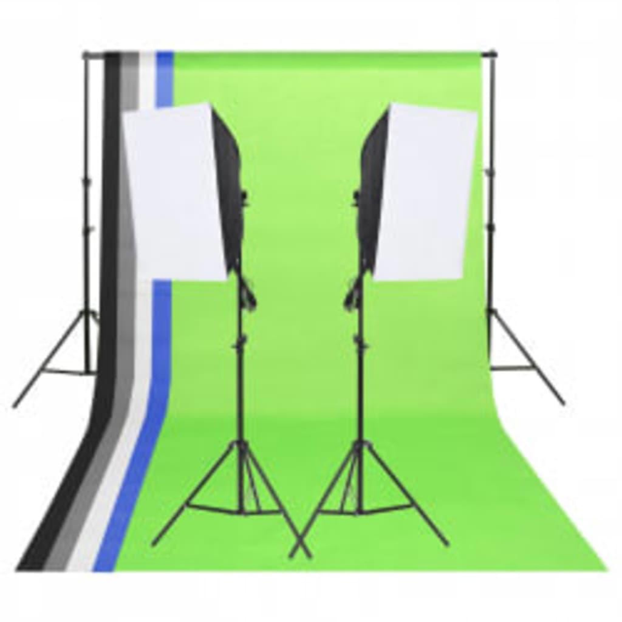 Voir la diapositive 2 : VIDAXL Kit de studio photo avec eclairage toile de fond et reflecteur