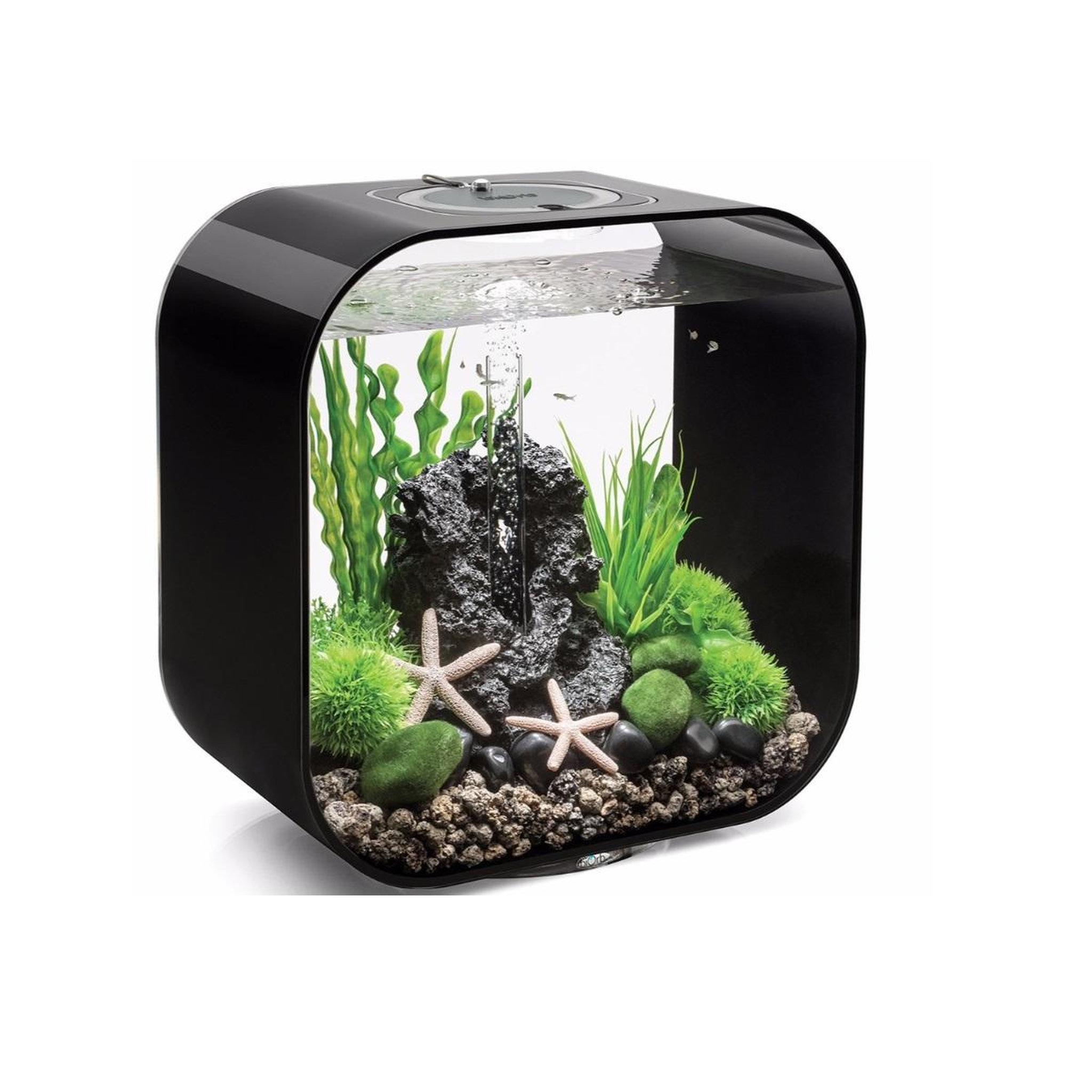 Oase Aquarium 30l contours noir - LIFE 30MCR BLACK
