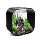 Voir la diapositive 1 : Oase Aquarium 30l contours noir - Life 30MCR black