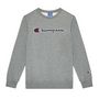 Voir la diapositive 1 : CHAMPION Sweat  Garçon Champion 305766