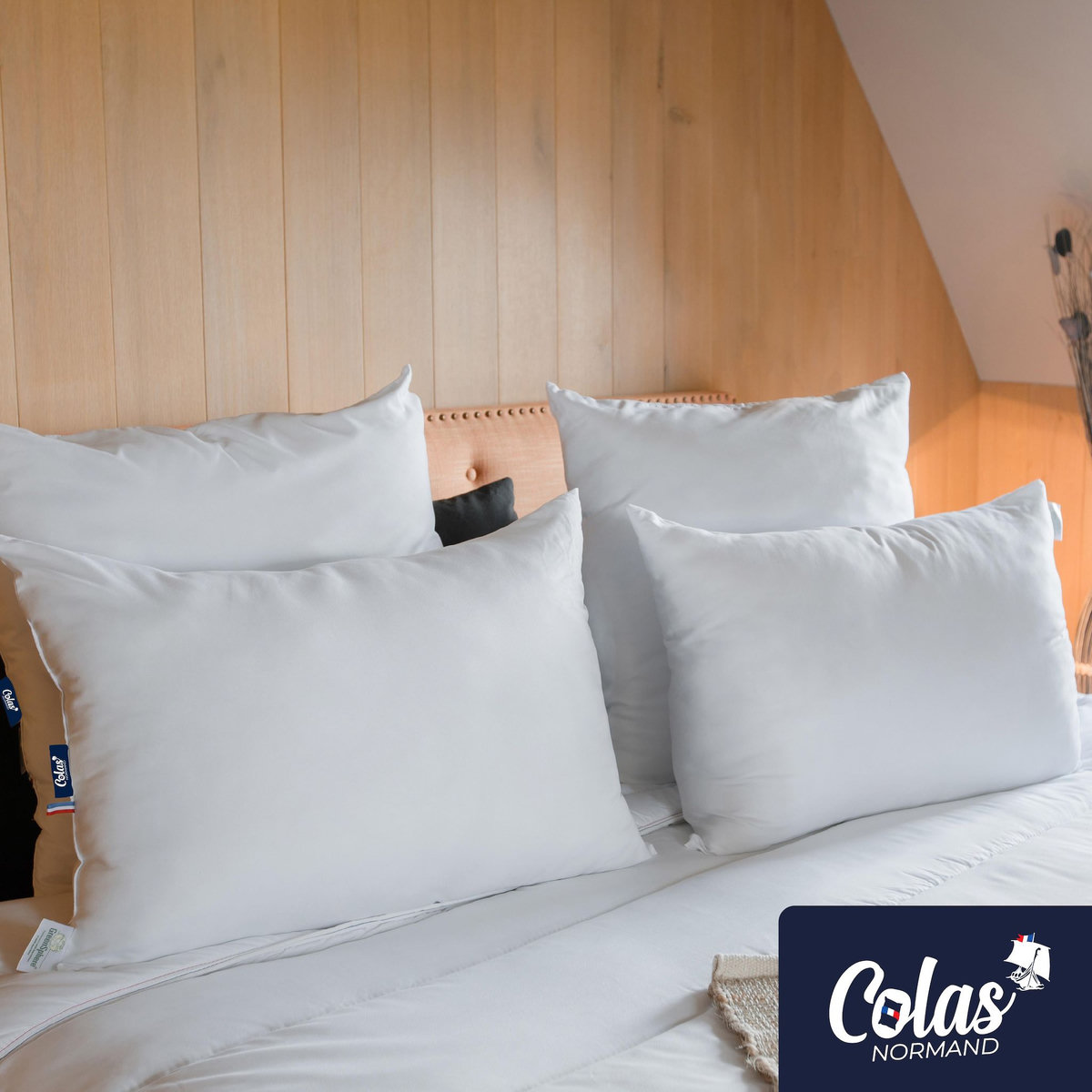 COLAS NORMAND Oreiller anti-acariens et antibactérien 50×70 cm