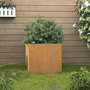 Voir la diapositive 1 : VIDAXL Jardiniere 49x47x46 cm acier corten