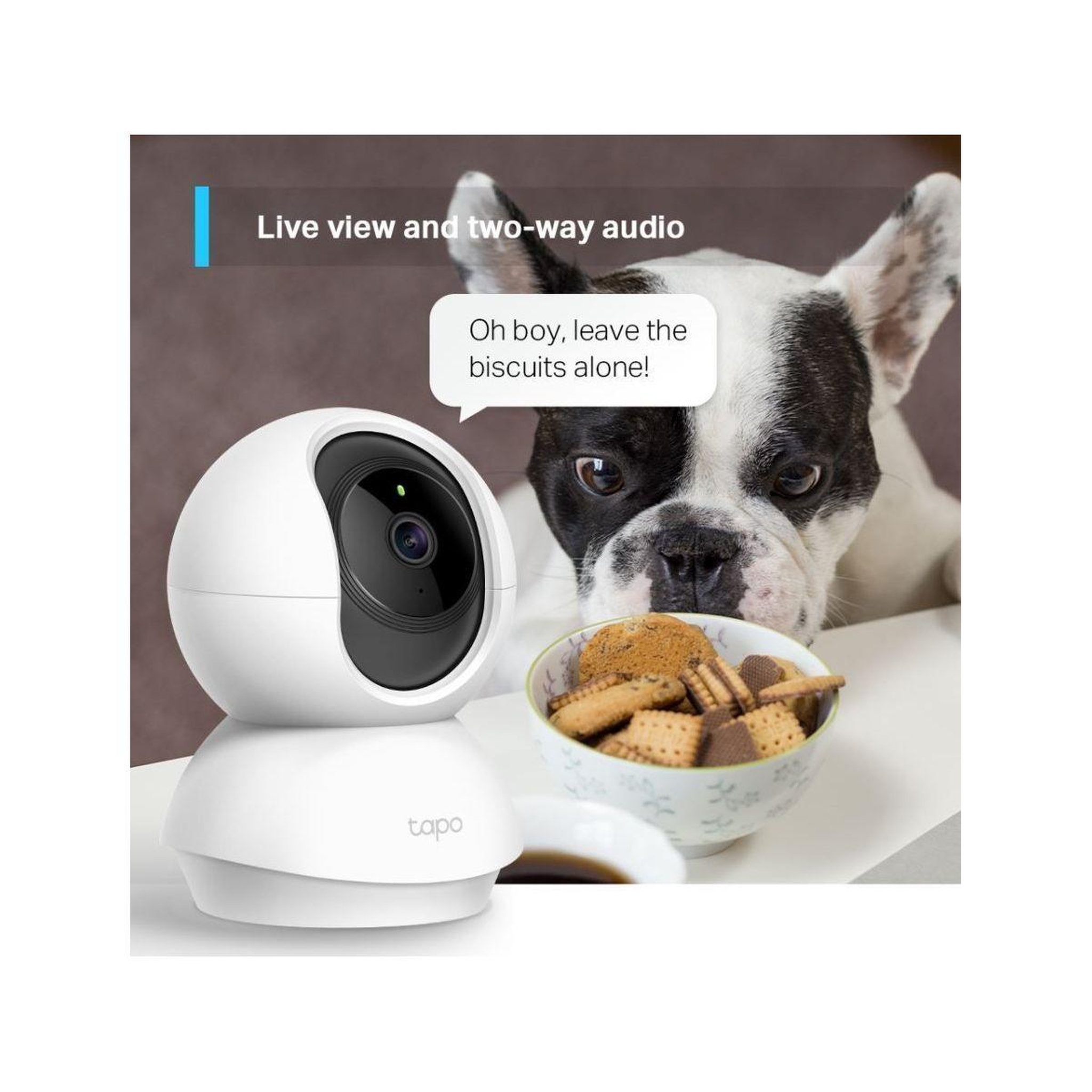 Voir la diapositive 5 : TP-LINK Caméra de surveillance tapo c210 2k