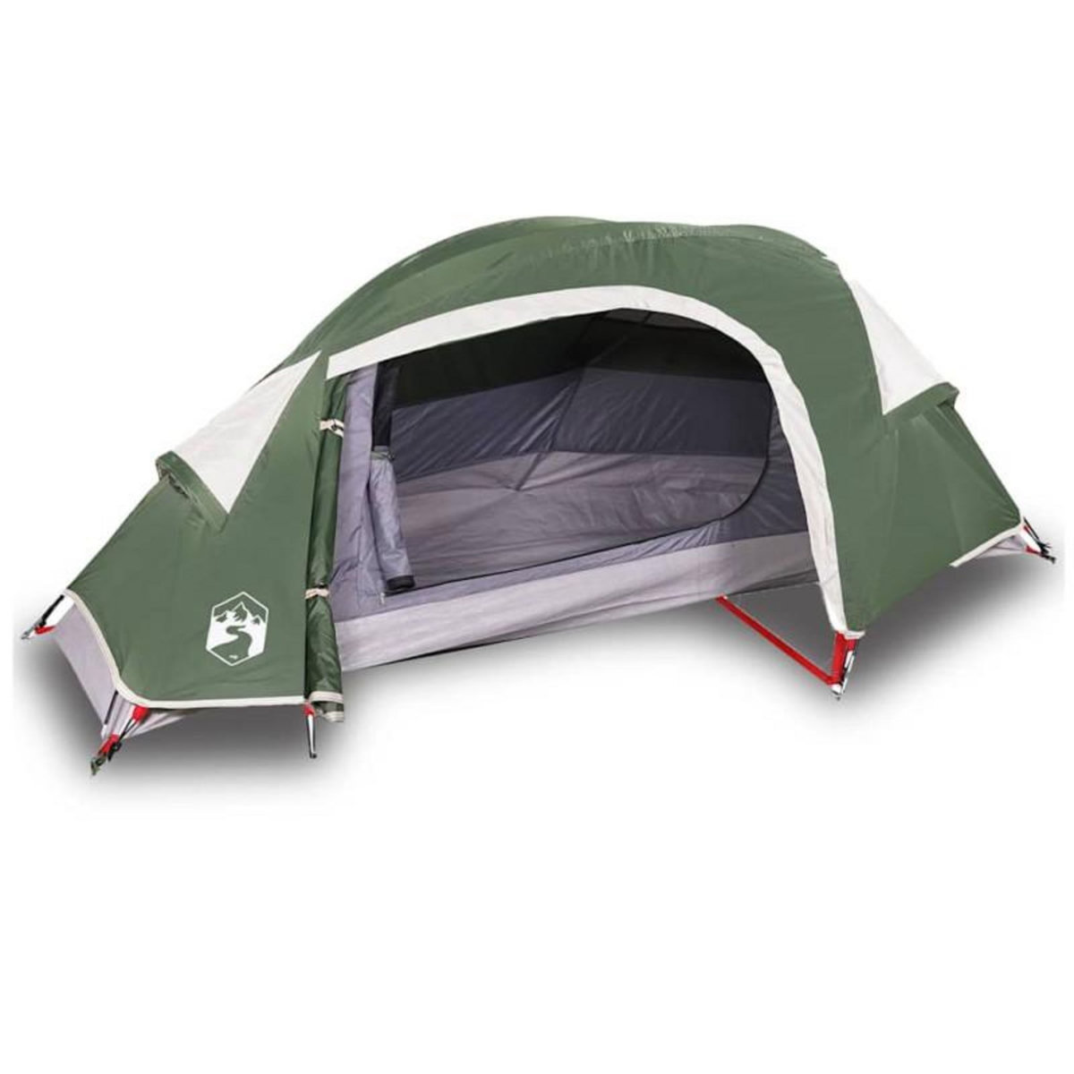 VIDAXL Tente de camping à dôme 1 personne vert imperméable