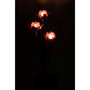 Voir la diapositive 4 : Paris Prix Lampe à Poser à LED  Fleur  36cm Noir & Rose
