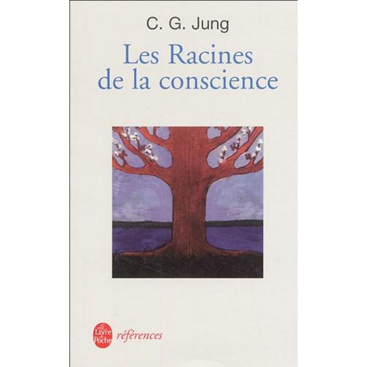 LES RACINES DE LA CONSCIENCE. ETUDES SUR L'ARCHETYPE, Jung Carl-Gustav