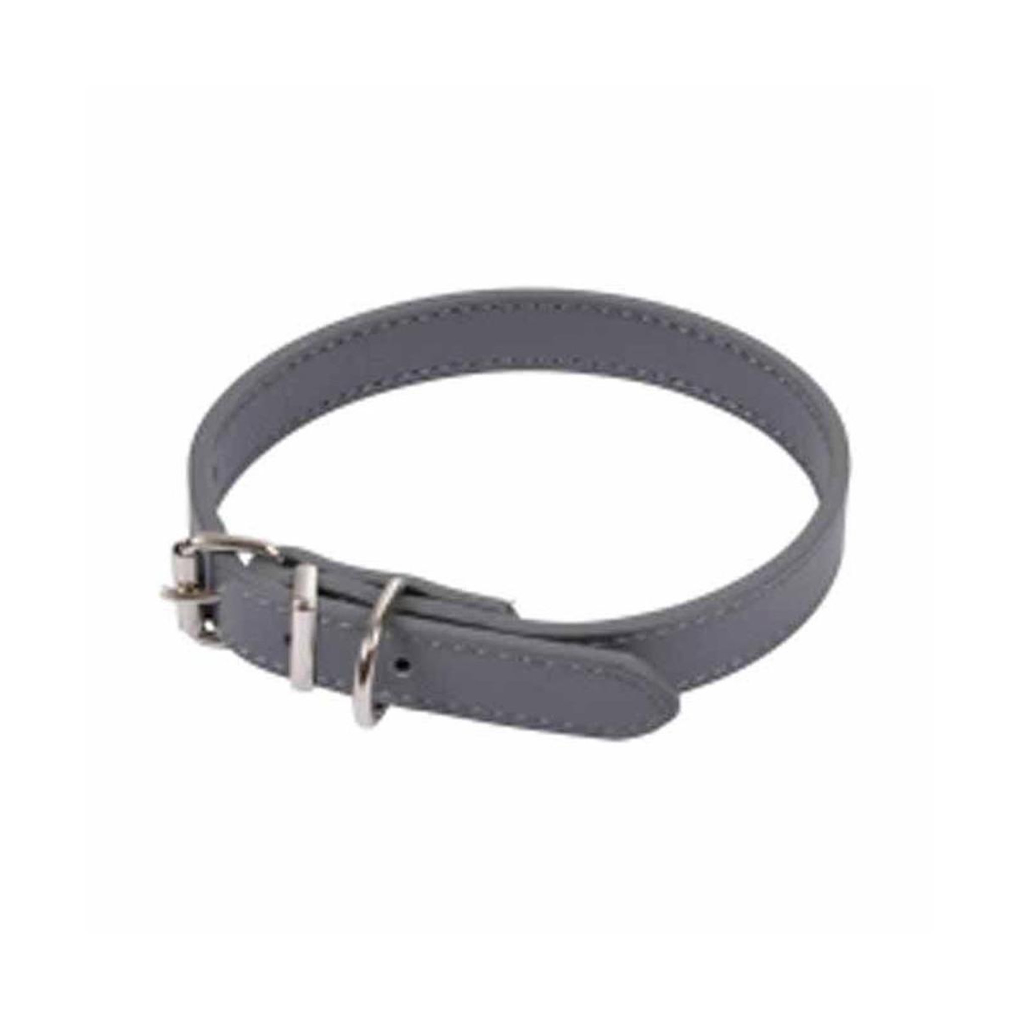 LOVE STORY Collier pour Chien  Design Uni  40cm Anthracite