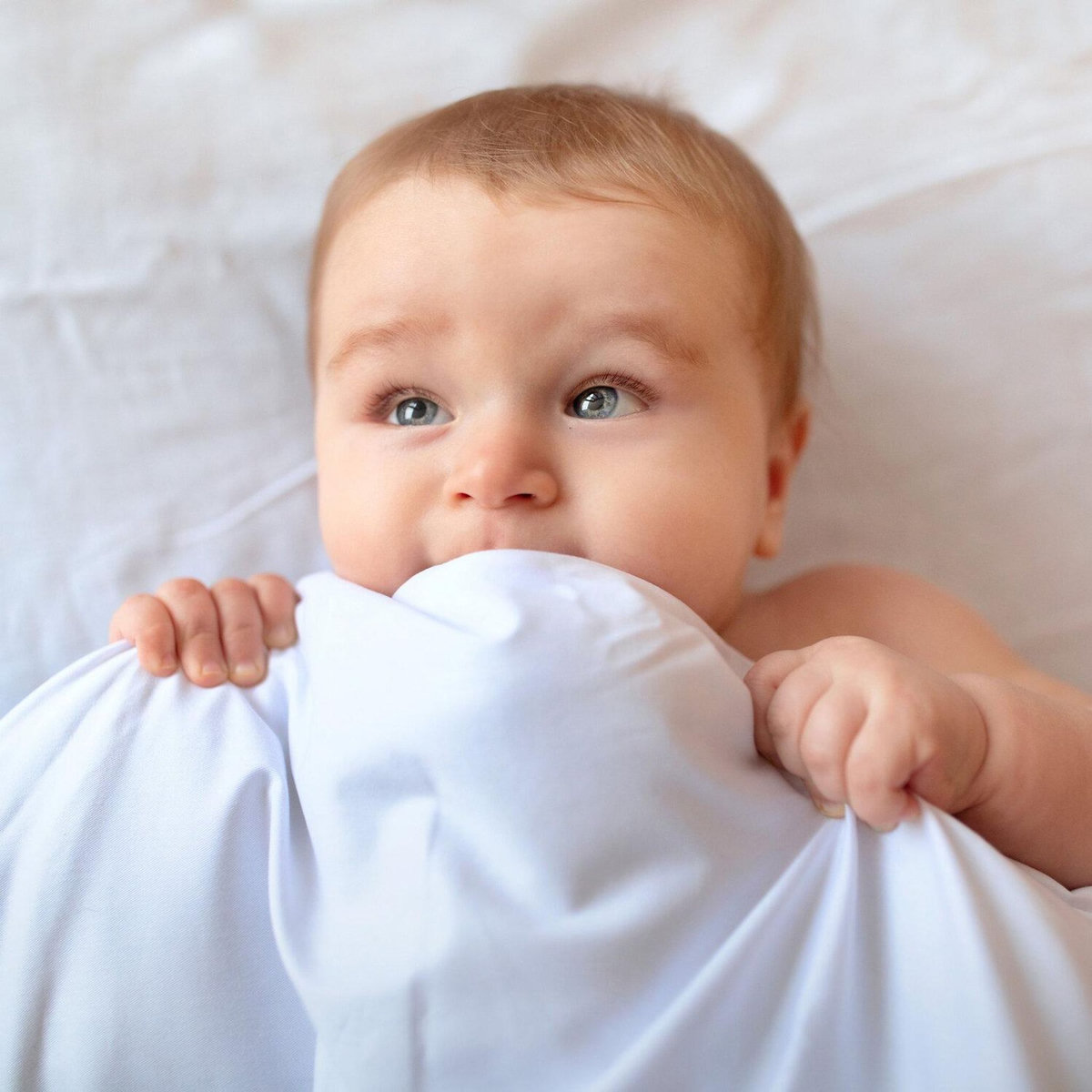 Home collection Couette Unie Coton Bio, 500gr Fab Fr