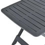 Voir la diapositive 5 : VIDAXL Table pliable de jardin Anthracite 79x72x70 cm Plastique