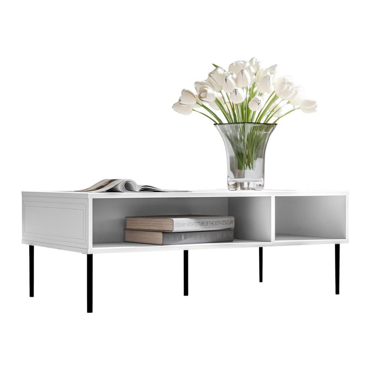 BEST MOBILIER Lavaggi - table basse - 2 niches - 110 cm