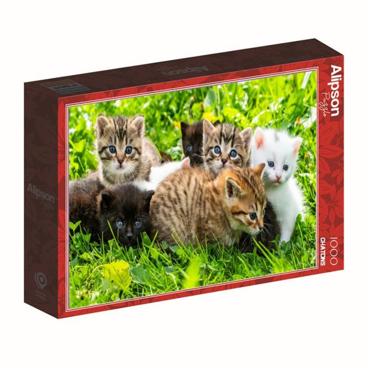 ALIZE Puzzle adulte 1000 pièces – Chatons mignons – Groupe de chatons – Puzzle déco animaux – Alizé