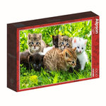 ALIZE Puzzle adulte 1000 pièces – Chatons mignons – Groupe de chatons – Puzzle déco animaux – Alizé