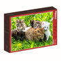 Voir la diapositive 1 : ALIZE Puzzle adulte 1000 pièces – Chatons mignons – Groupe de chatons – Puzzle déco animaux – Alizé