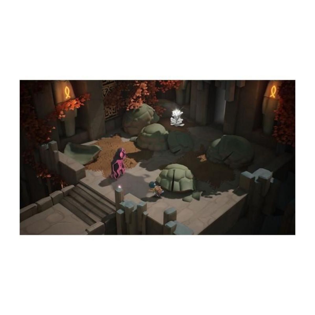 Just for games Selfloss - Jeu Nintendo Switch