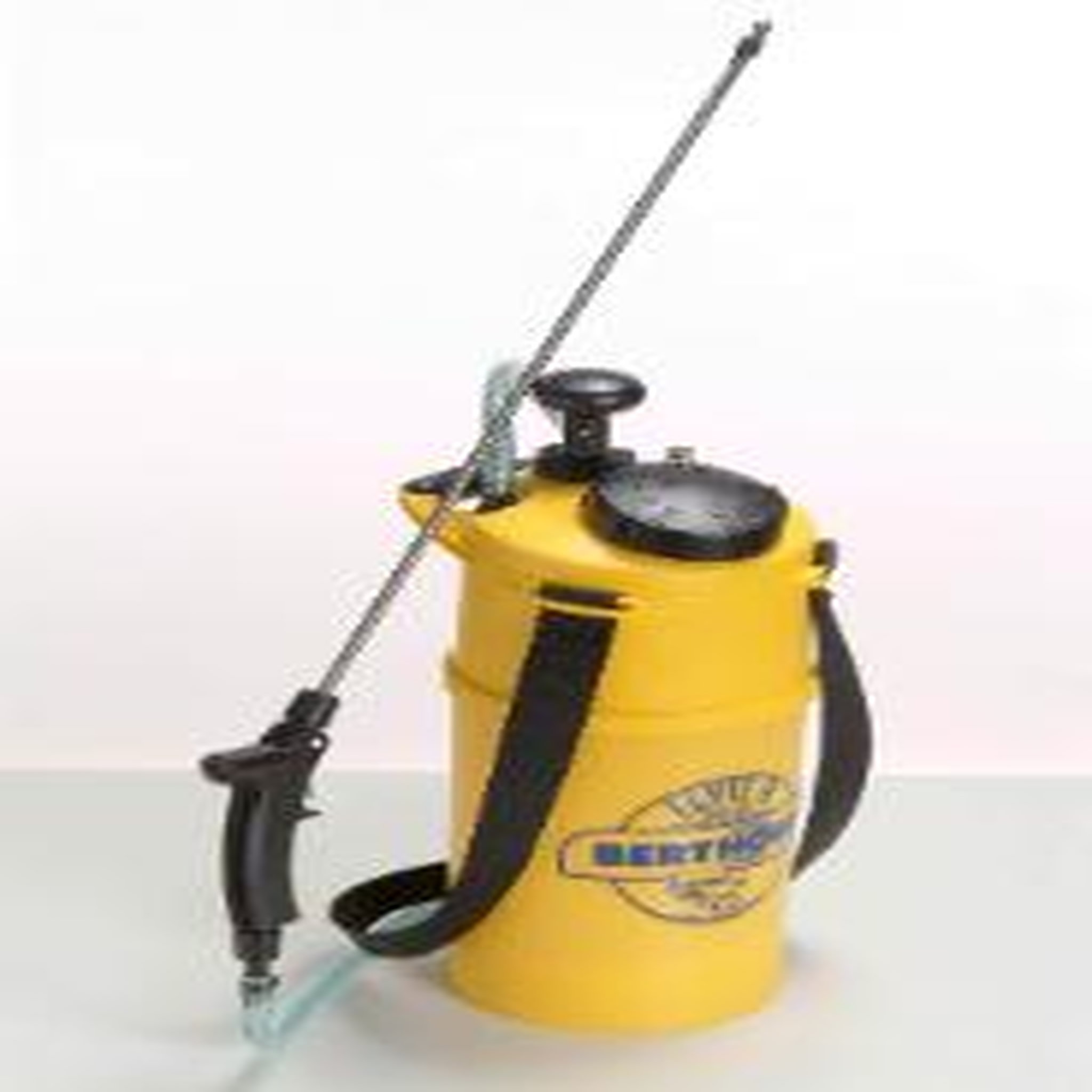 Berthoud Pulvérisateur à pression prèalable Elyte 8 lance inox 6L