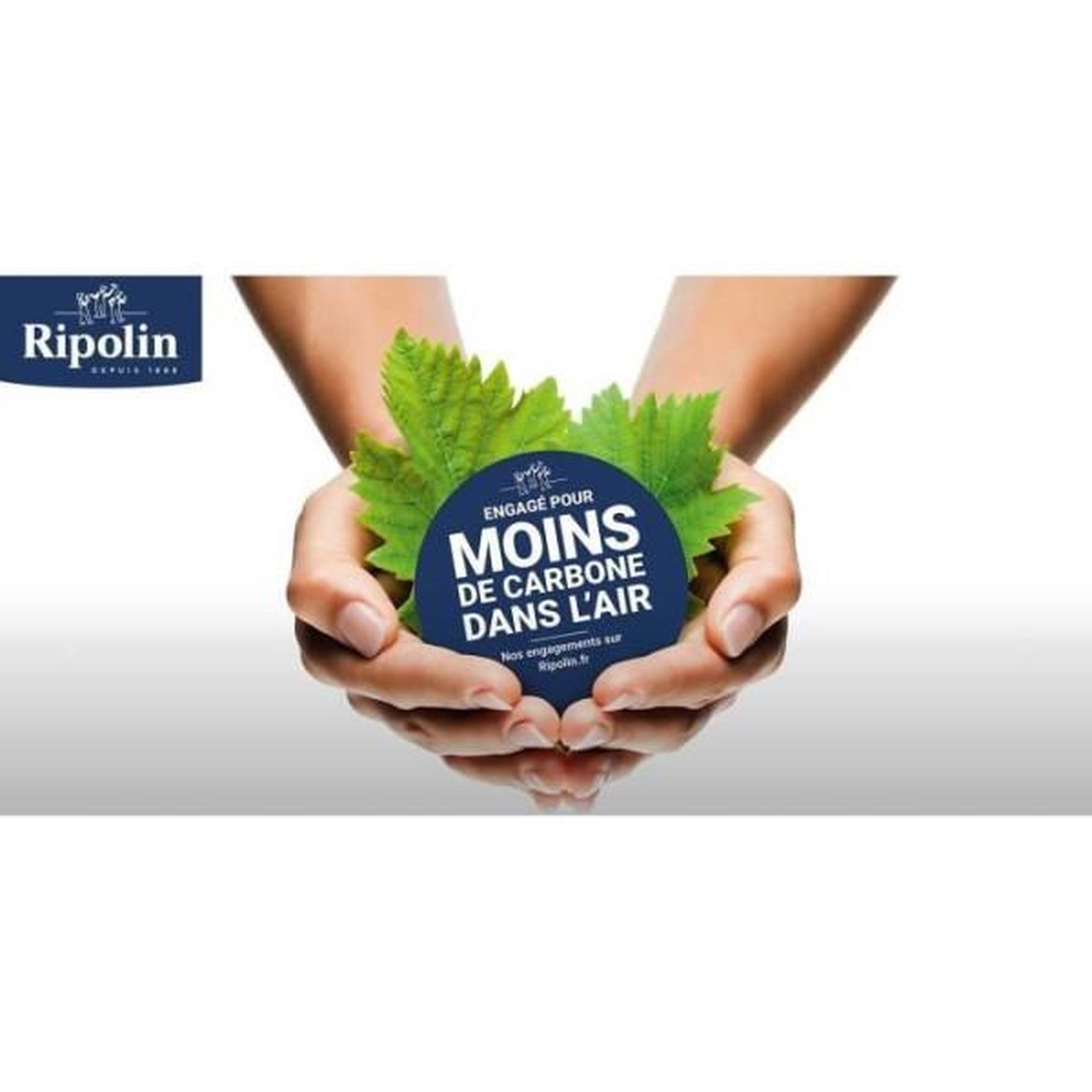 Voir la diapositive 3 : RIPOLIN Ripolin sous-couche anti-humidite 0,75l