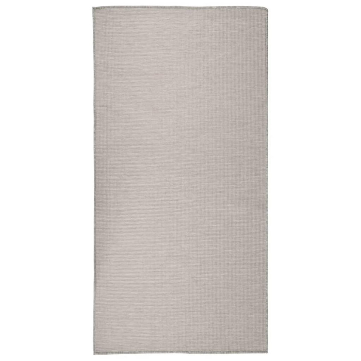 VIDAXL Tapis a tissage plat d'exterieur 100x200 cm Taupe