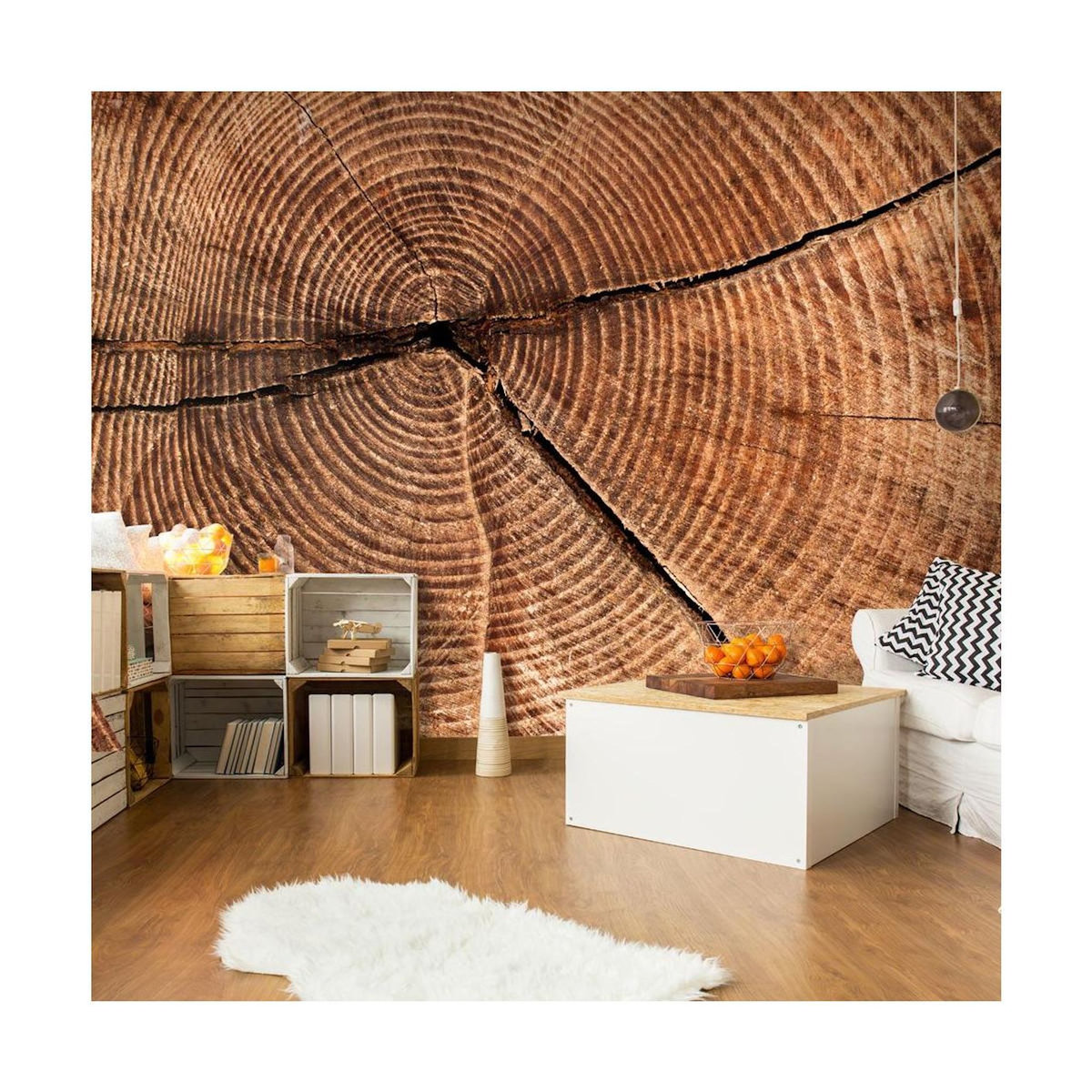 Paris Prix Papier Peint  Coupe D'un Tronc D'arbre