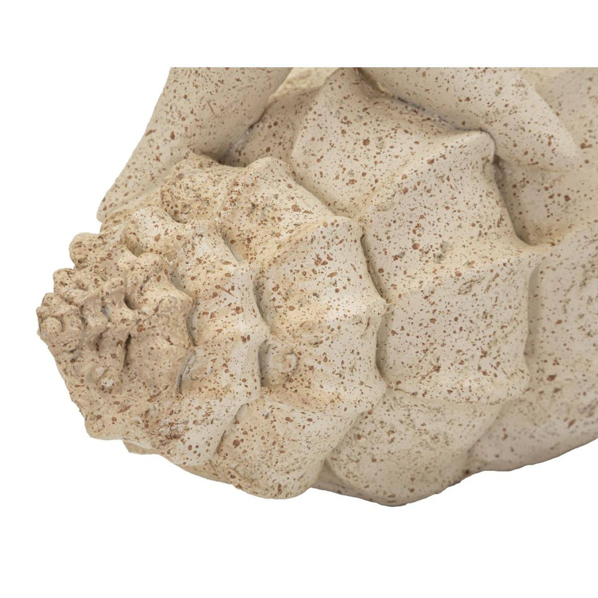 Voir la diapositive 5 : Paris Prix Étoile de mer sur coquillage en résine  sand  30cm beige