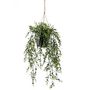 Voir la diapositive 2 : EMERALD Emerald Buis artificiel suspendu en pot 50 cm