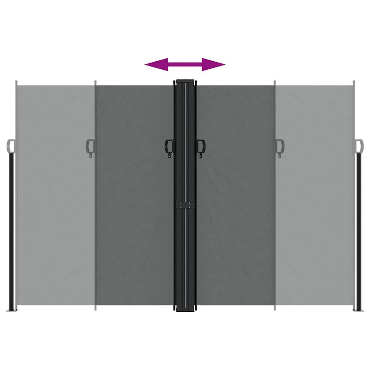 VIDAXL Auvent lateral retractable anthracite 220x1000 cm