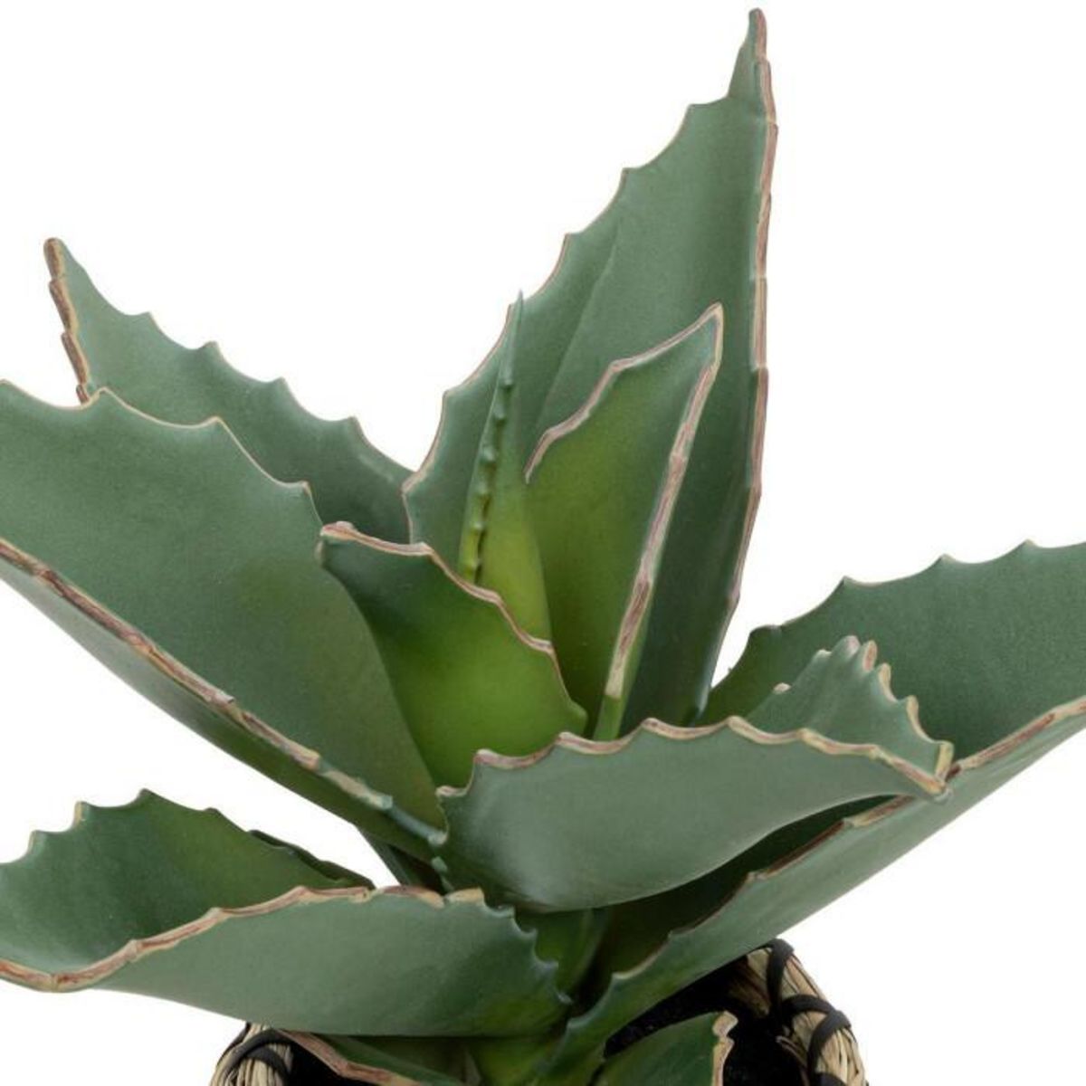 ATMOSPHERA Plante Artificielle Samouraï  Pio  26cm Naturel