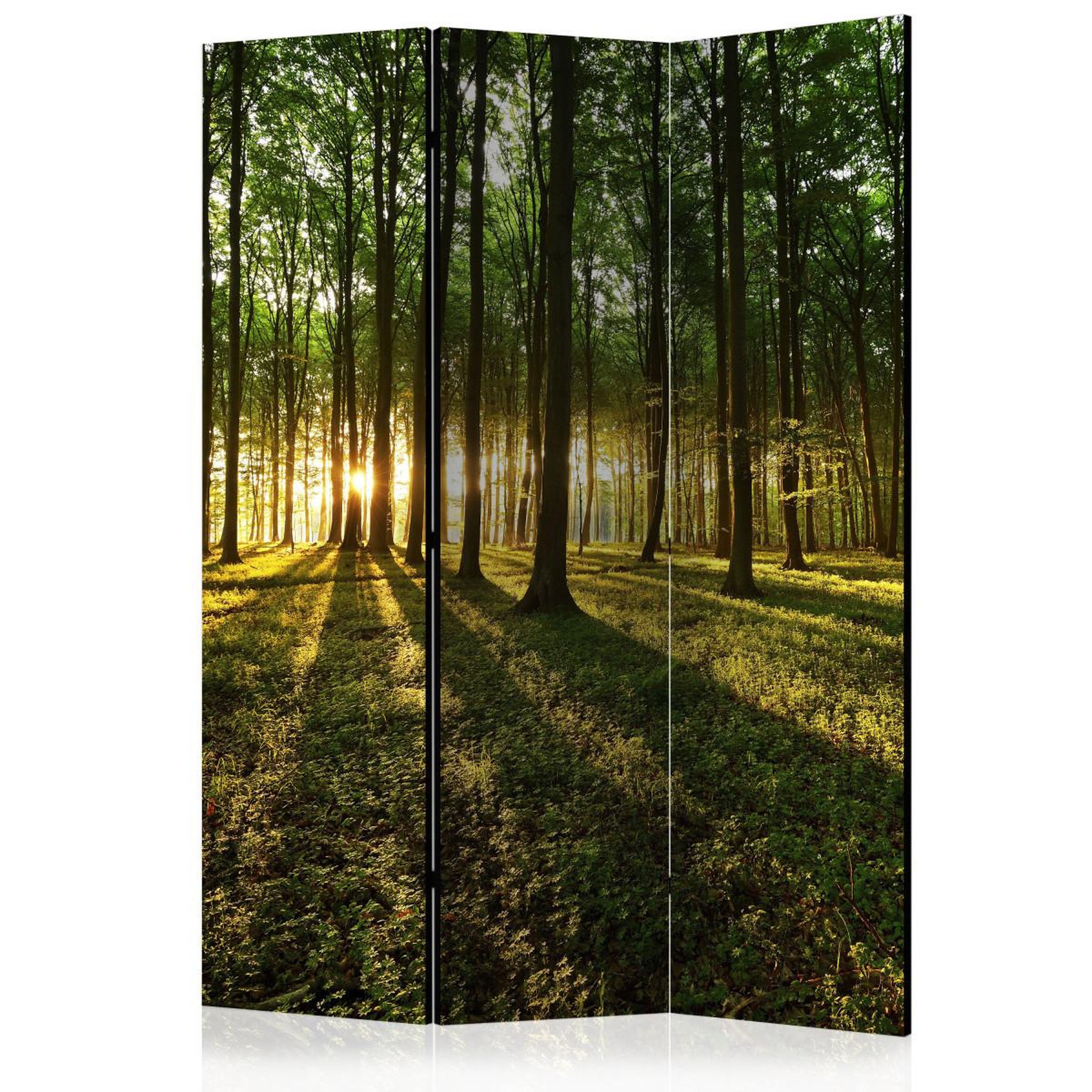 Paris Prix Paravent 3 volets  morning in the forest  135x172cm