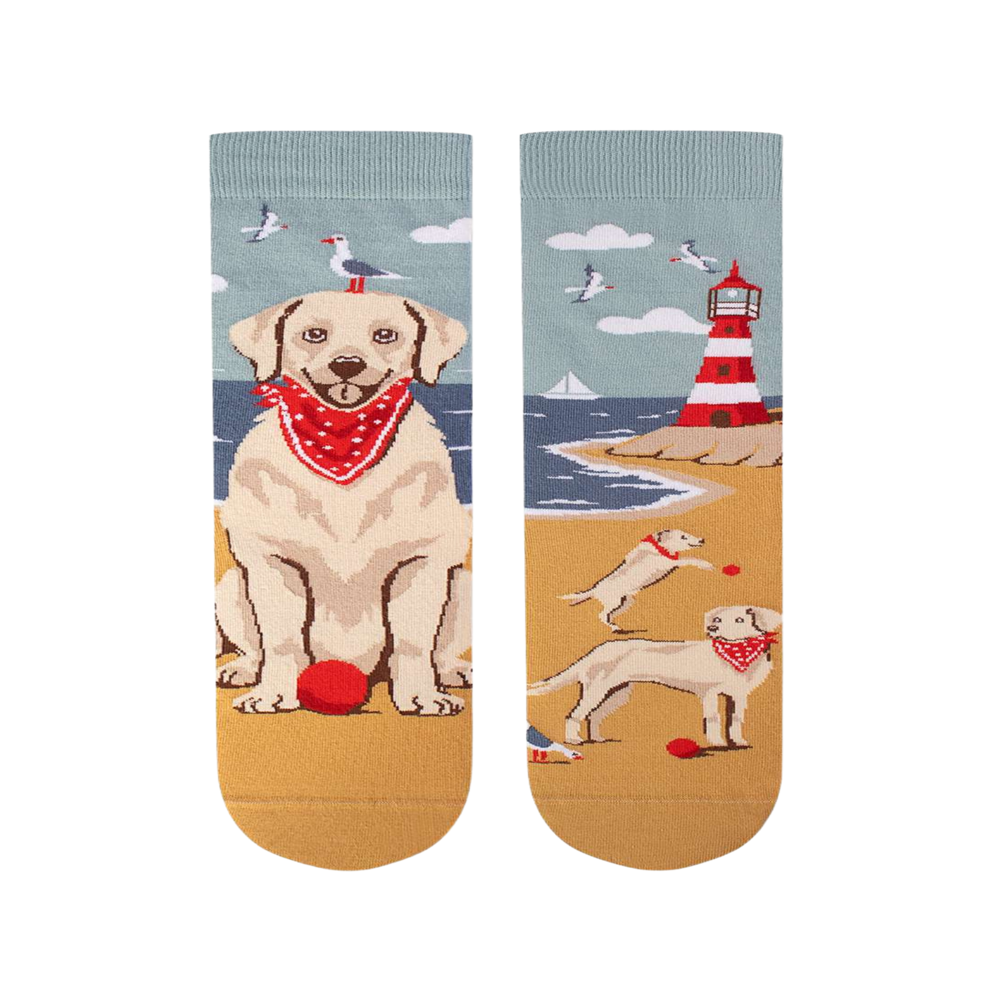Voir la diapositive 2 : PIRIN HILL Chaussettes arty golden retriever