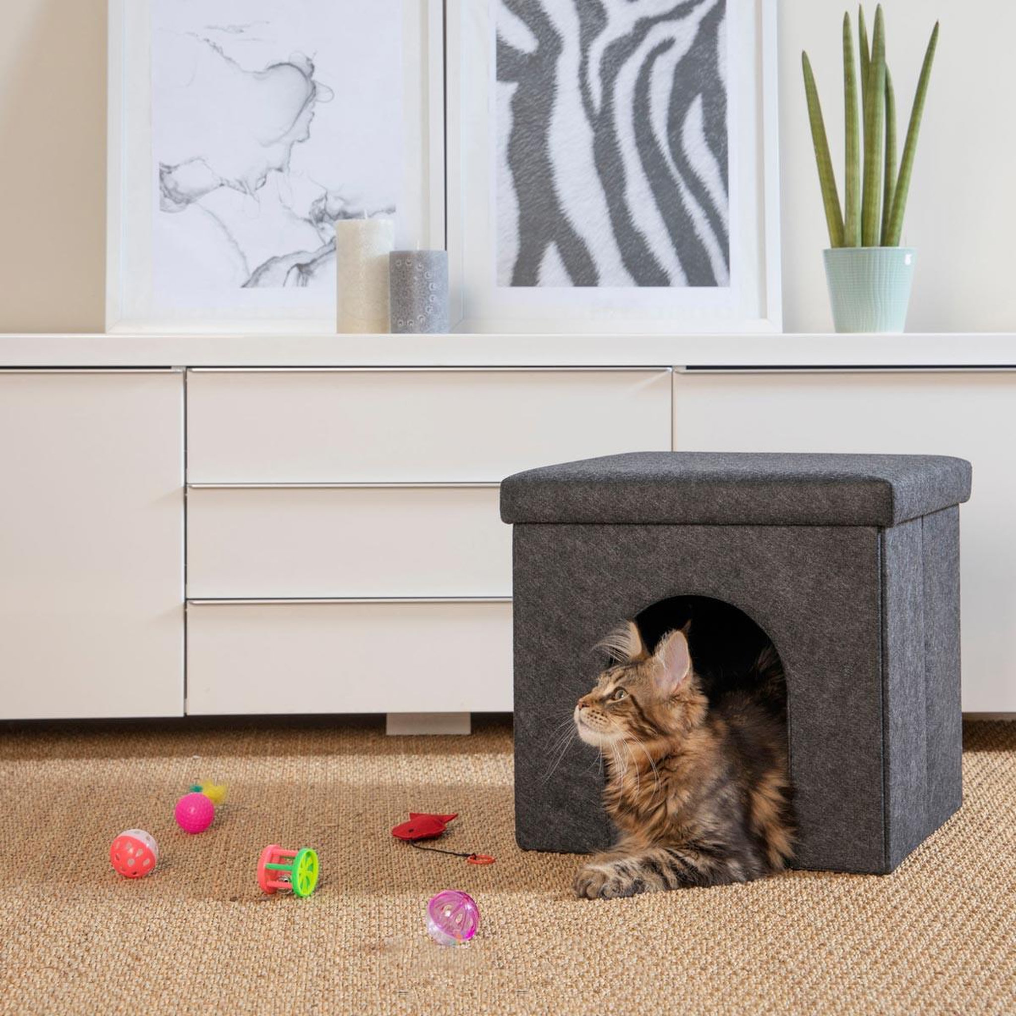 Voir la diapositive 2 : LOVE STORY Lot de 6 jouets pour chat  cadeaux  multicolore