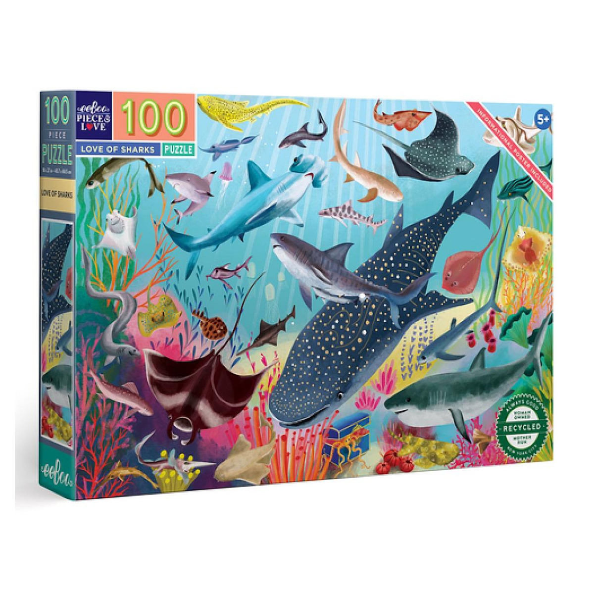 Eeboo Love of Sharks 100 Piece Puzzle