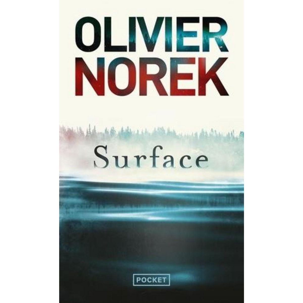 SURFACE, Norek Olivier