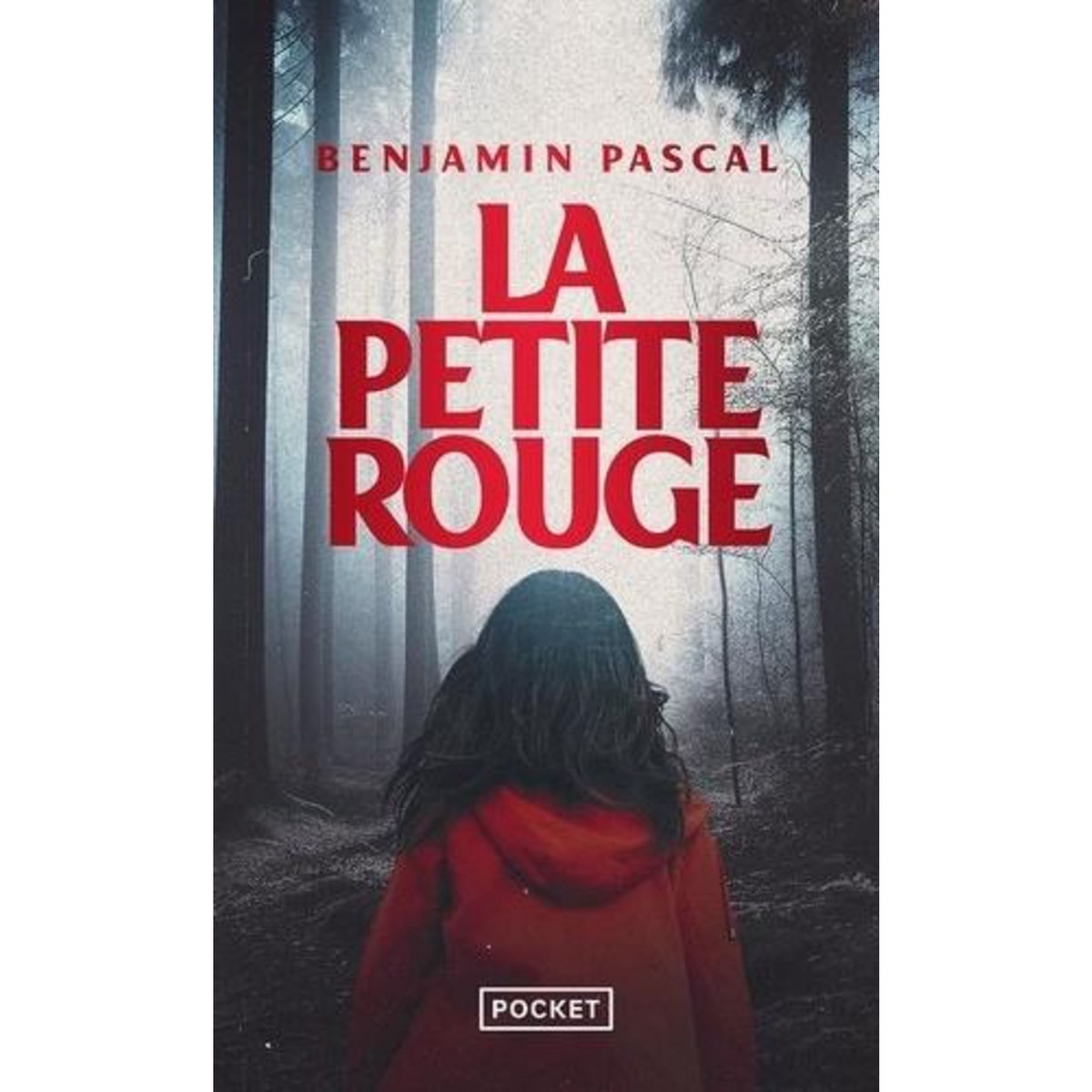 LA PETITE ROUGE. UNE ENQUETE DU DABE, Pascal Benjamin