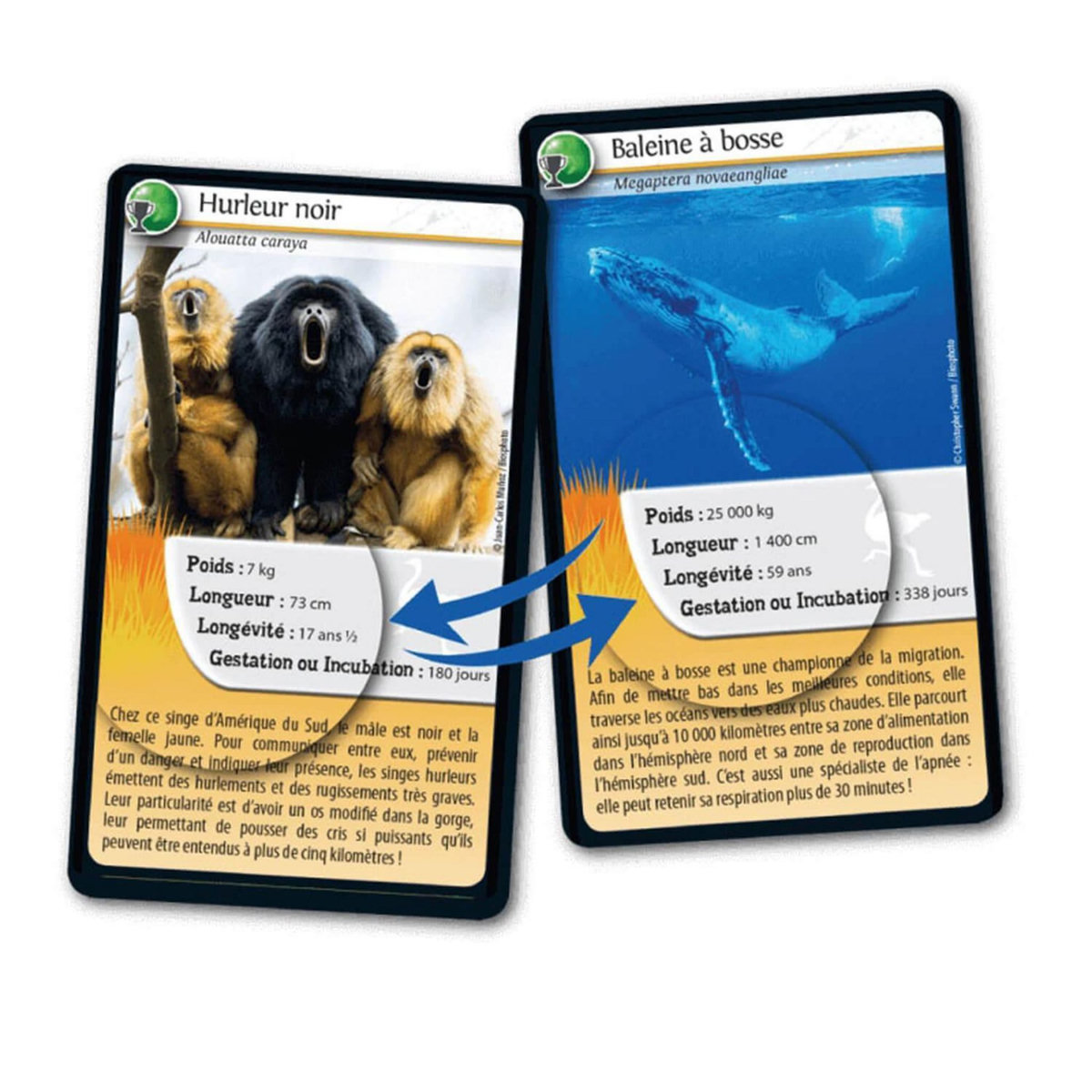 Bioviva Défis nature - records des animaux