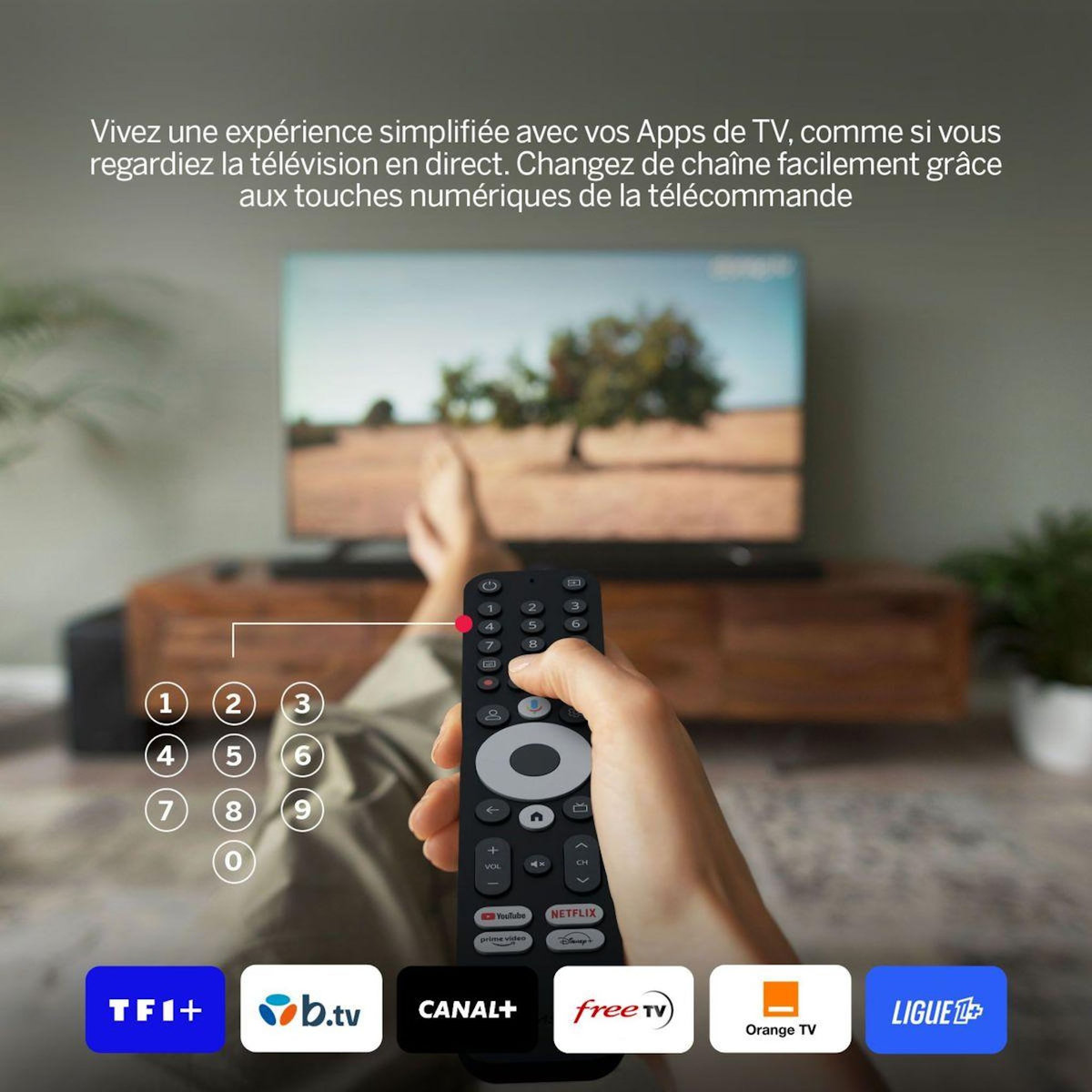 THOMSON Passerelle multimédia 245 Box 4K avec Google TV