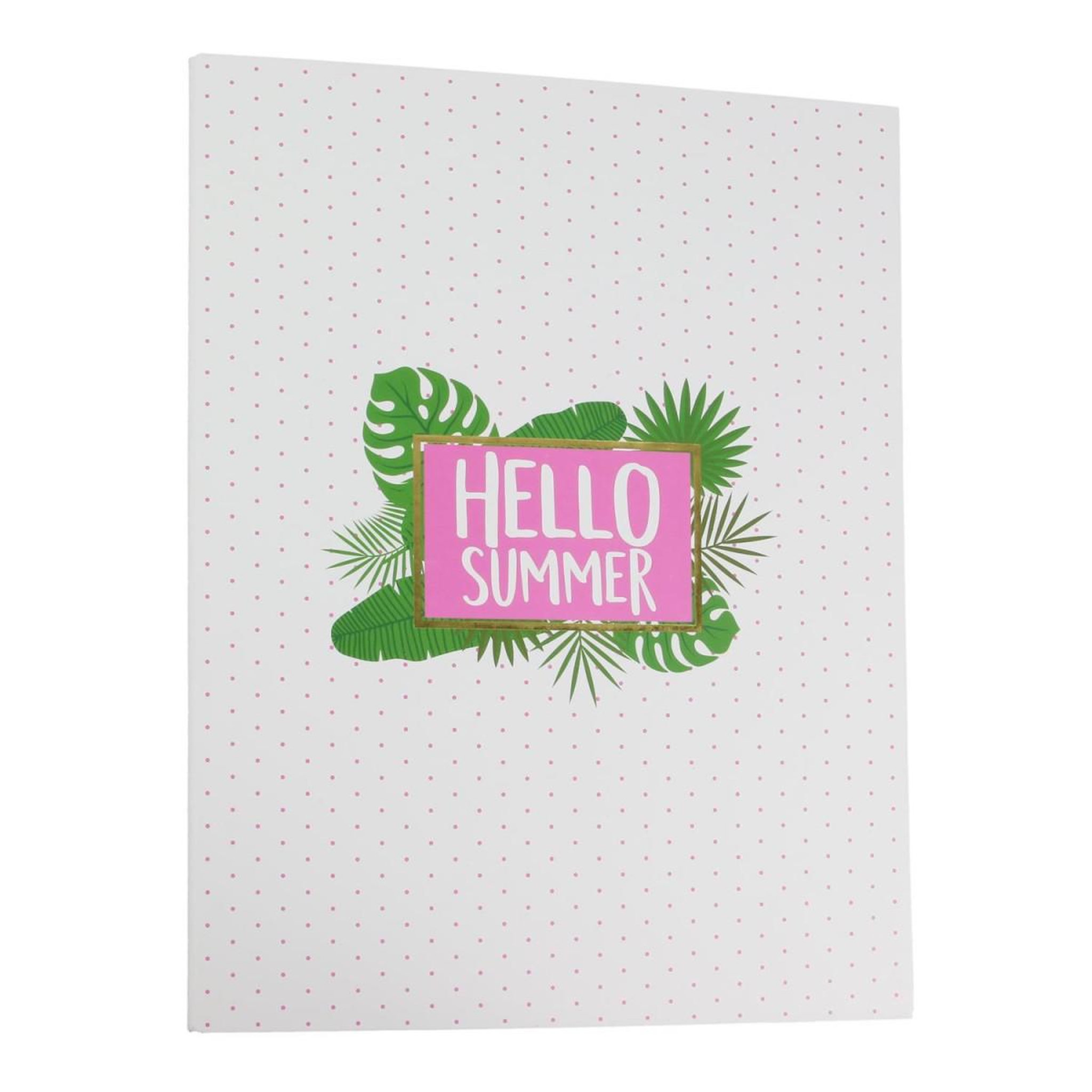 Voir la diapositive 1 : The concept Factory Classeur format a4  flamant  23x31cm rose