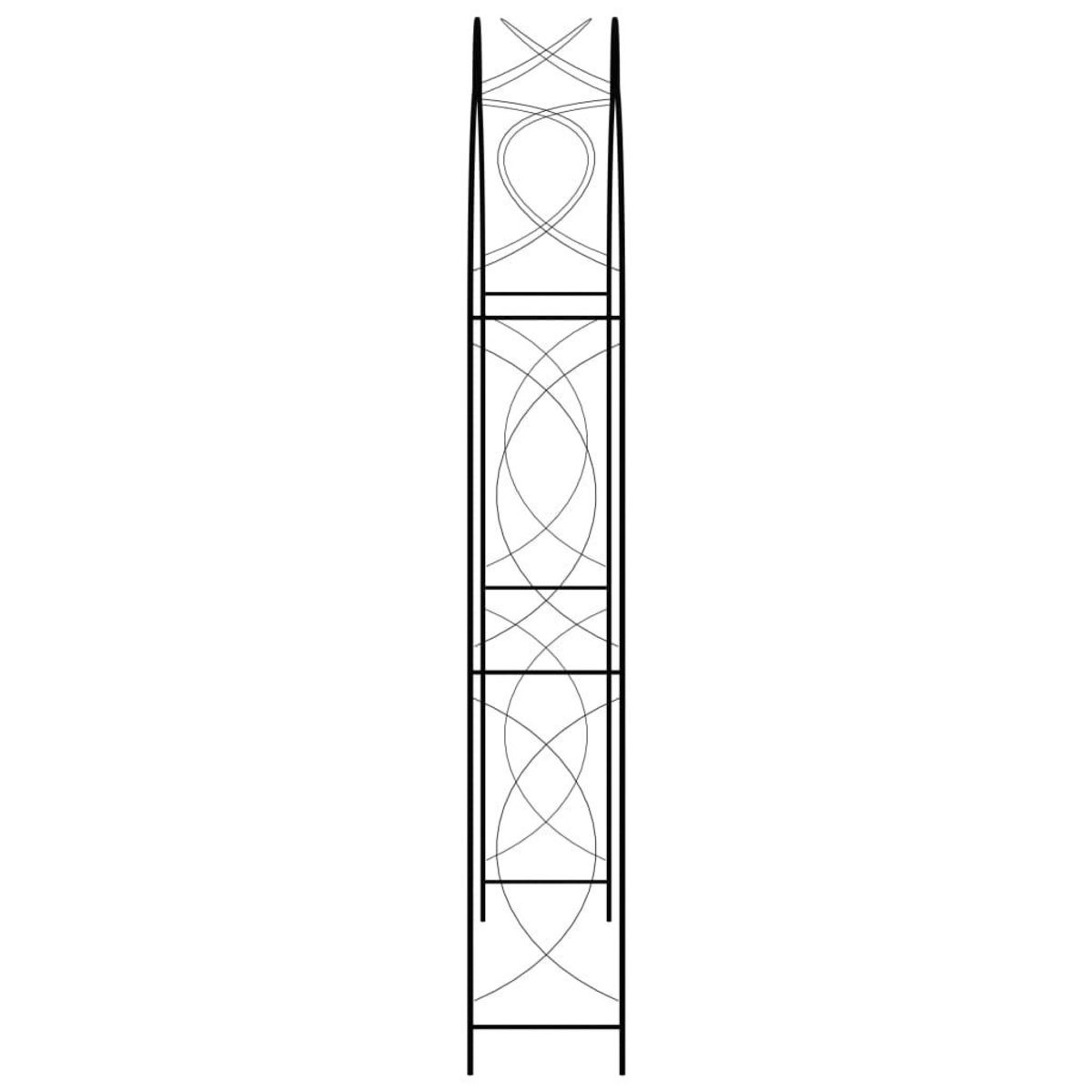VIDAXL Voute de jardin Noir 150x34x240 cm Fer