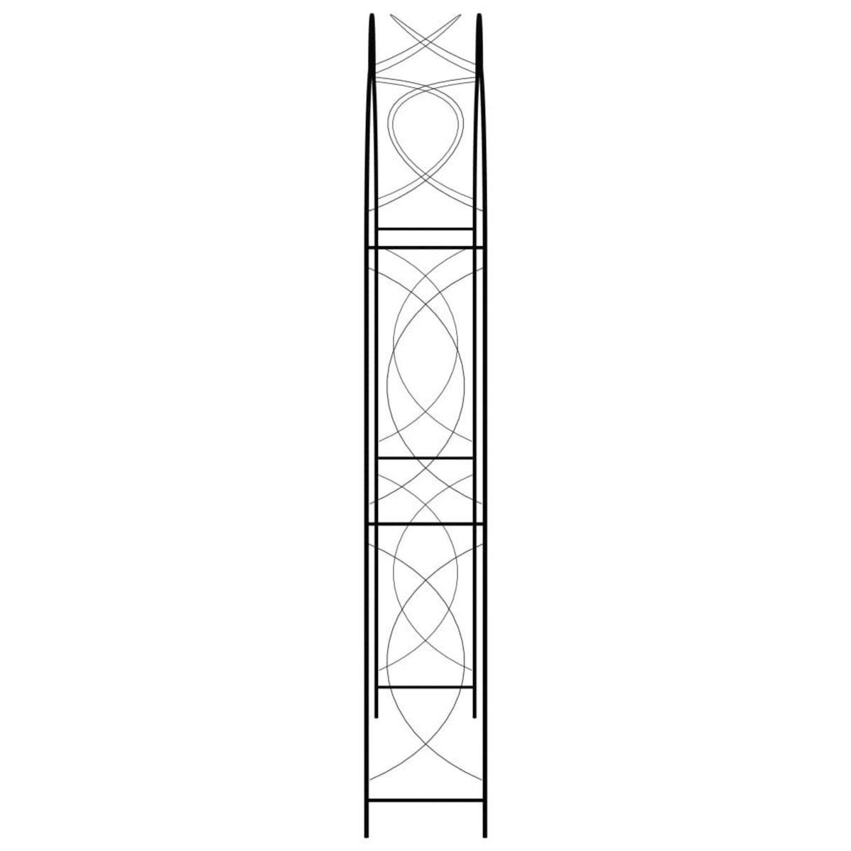 VIDAXL Voute de jardin Noir 150x34x240 cm Fer