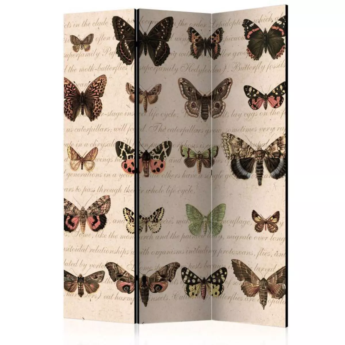 Paris Prix Paravent 3 Volets  Retro Style : Butterflies  135x172cm