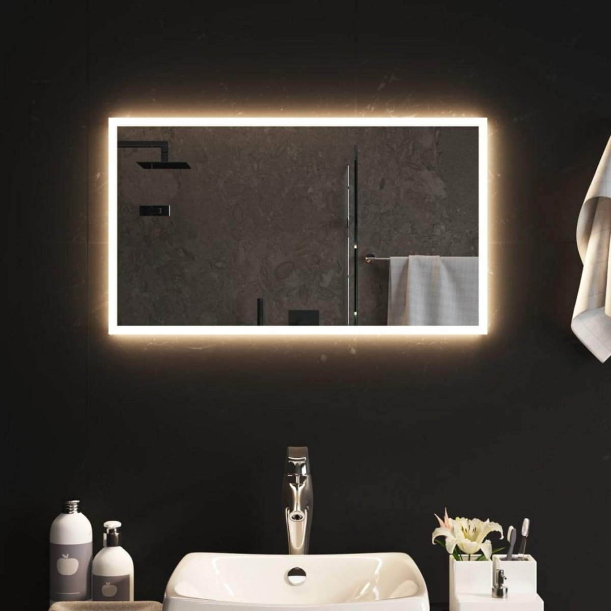 VIDAXL Miroir de salle de bain a LED 40x70 cm