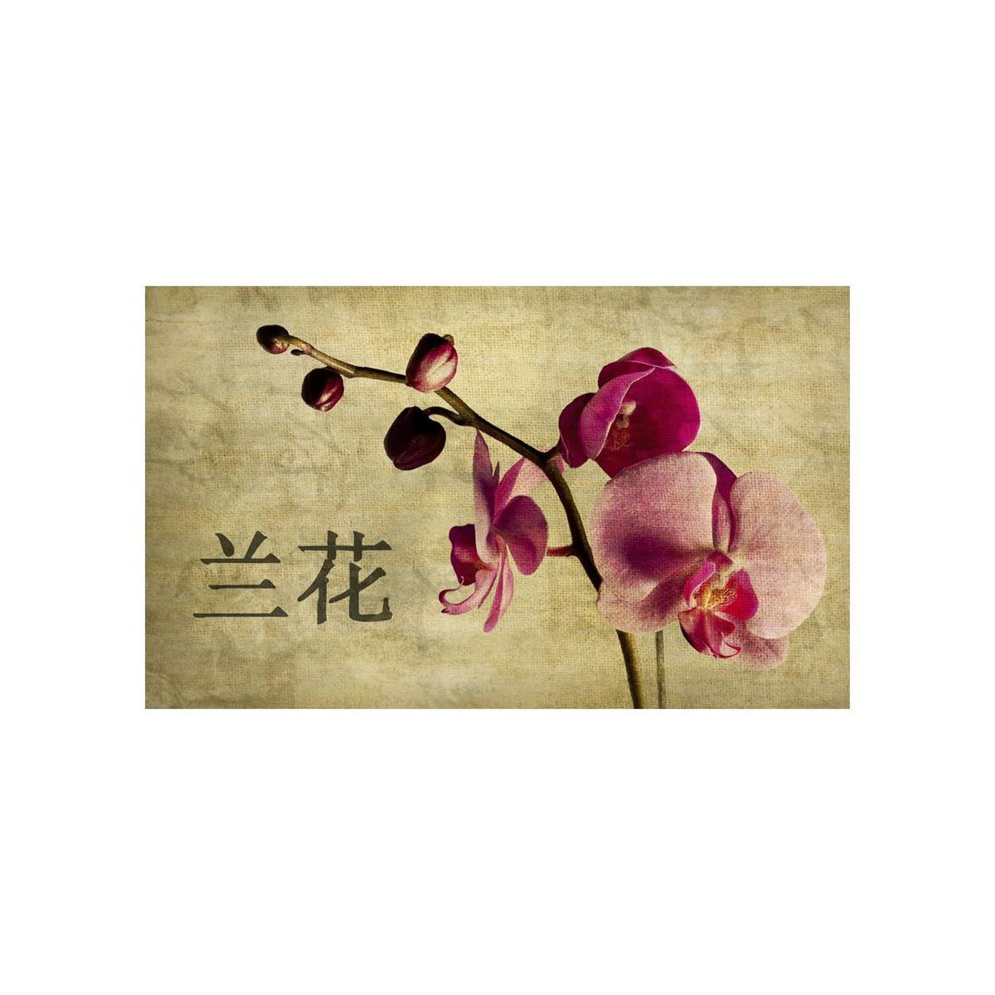 Voir la diapositive 2 : Paris Prix Papier peint  japanese orchid  270x450cm