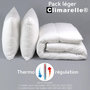 Voir la diapositive 1 : DODO Pack Climarelle® Thermorégulation couette LEGERE + oreiller