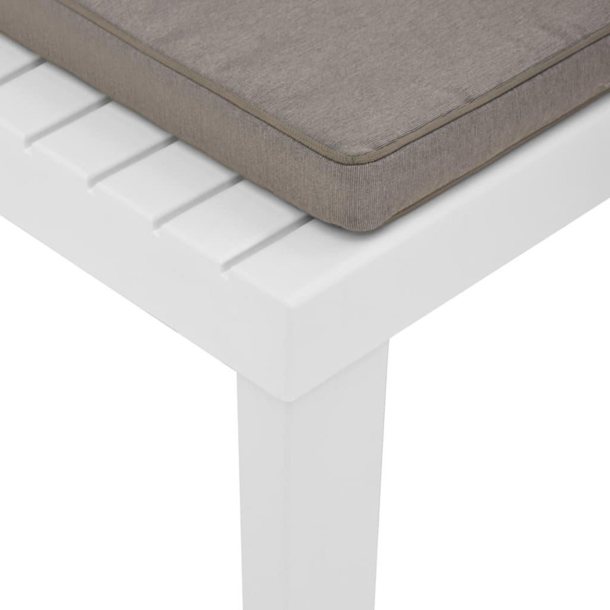 VIDAXL Chaise de salon de jardin avec coussin Plastique Blanc