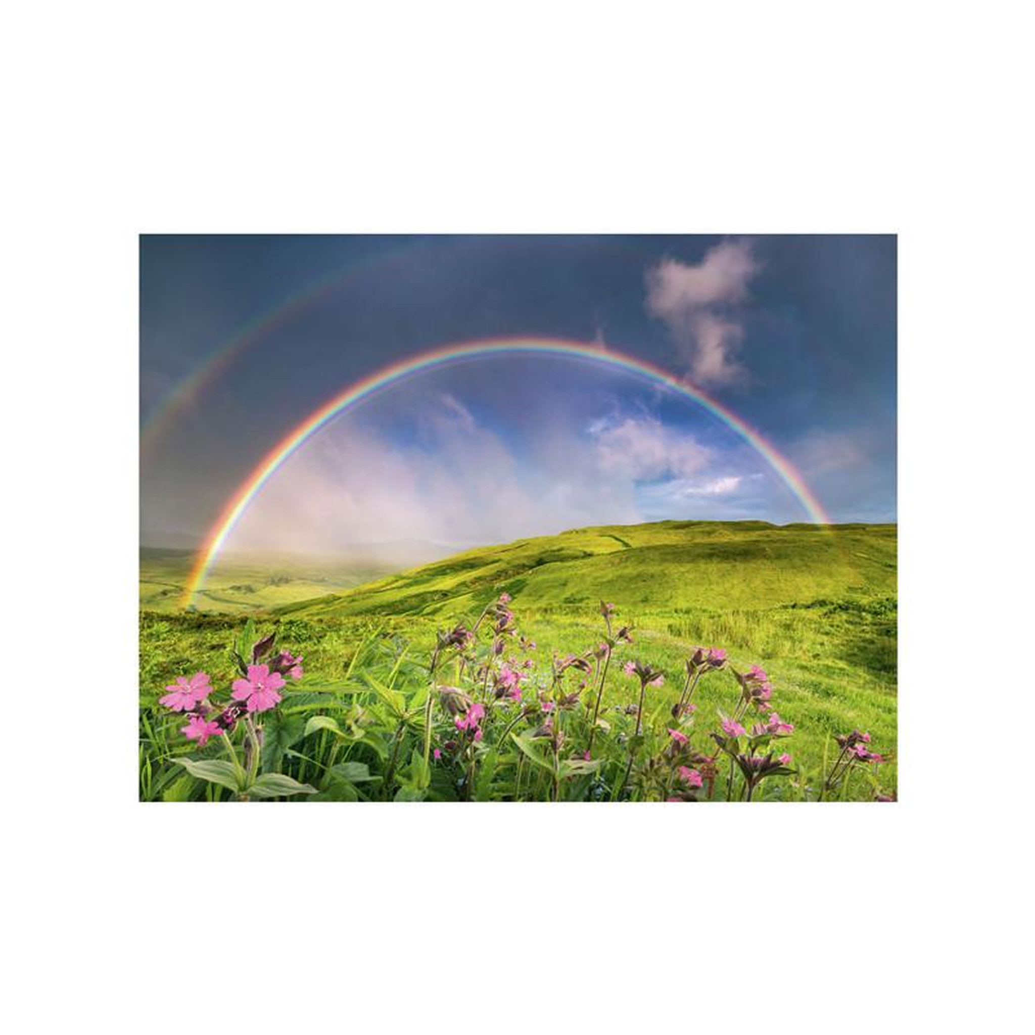 Voir la diapositive 2 : RAVENSBURGER Ravensburger - Jigsaw puzzle Spectacular Rainbows, 1500 pcs. 12000800 2