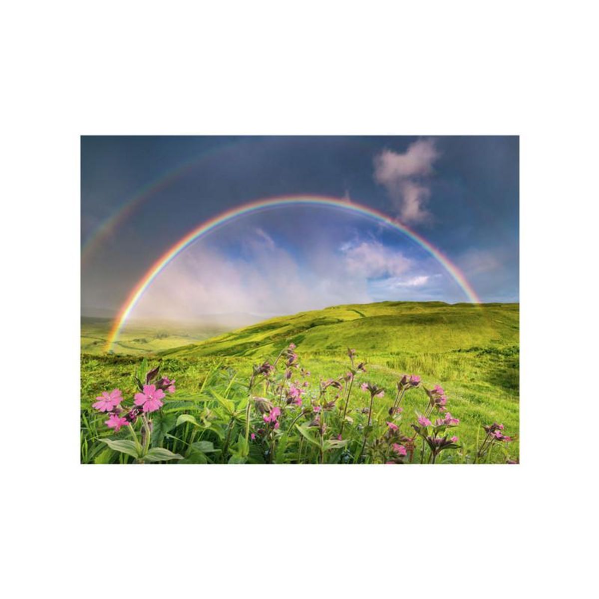 RAVENSBURGER Ravensburger - Jigsaw puzzle Spectacular Rainbows, 1500 pcs. 12000800 2