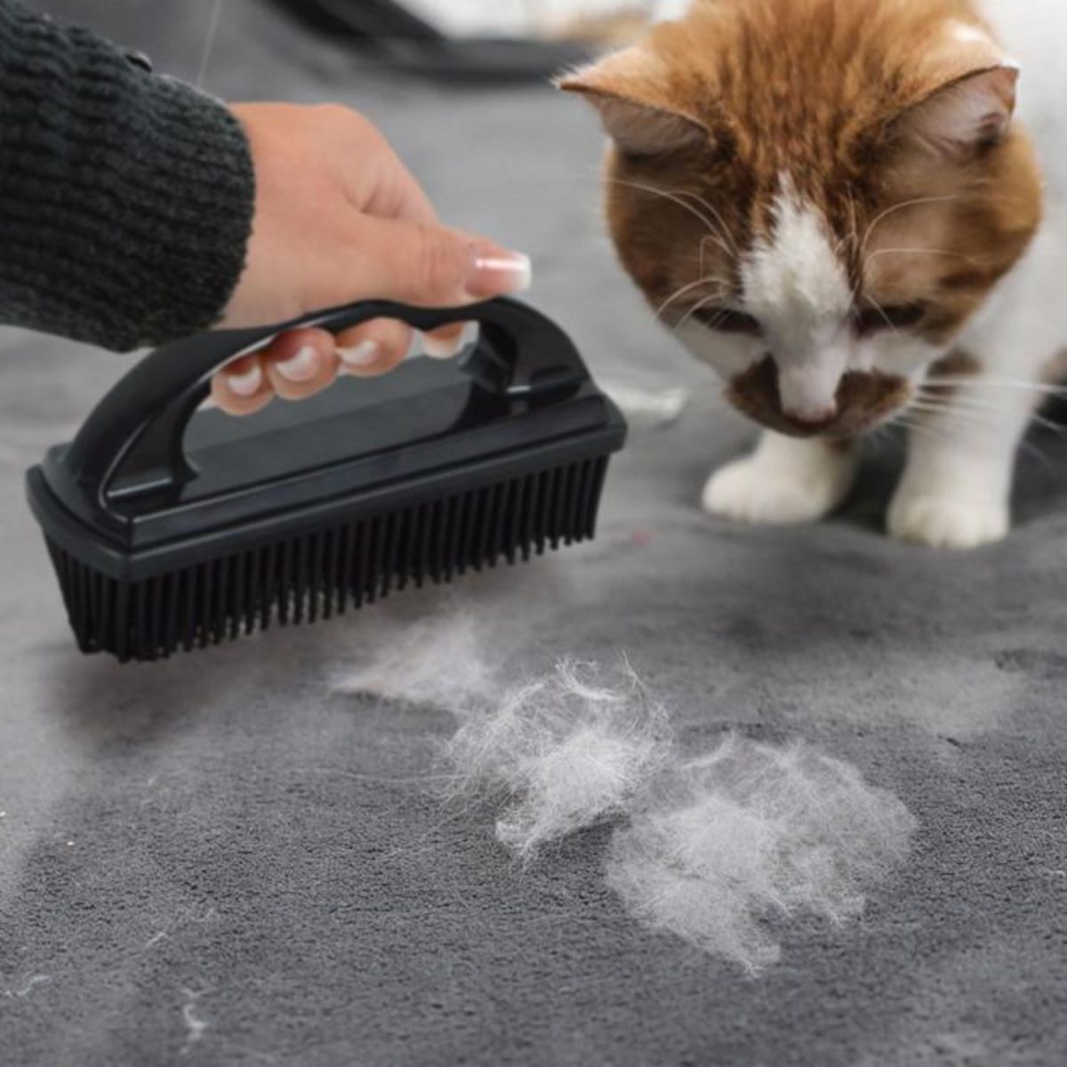 Paris Prix Brosse Ramasse-Poils  Antistatique  15cm Noir